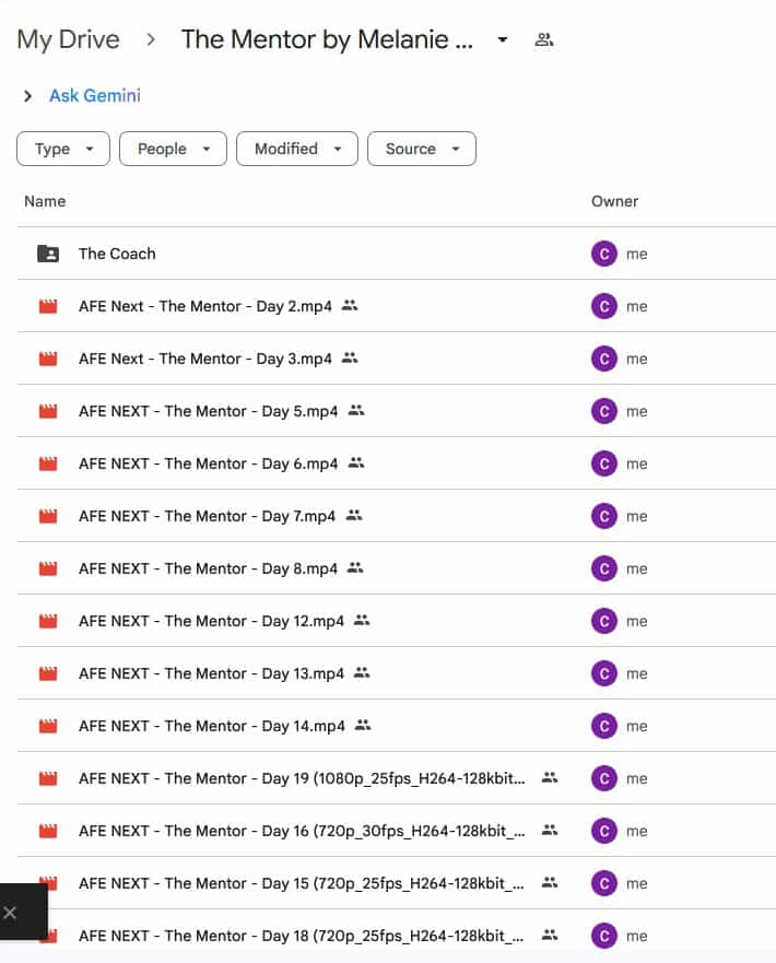 The Mentor by Melanie Ann Layer (Includes The Coach Program) - Image 2